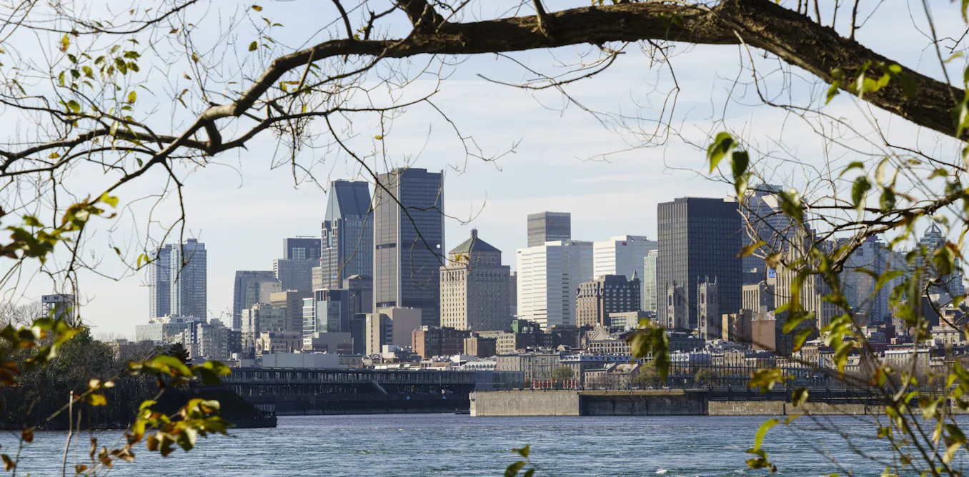 Climate change is making cities hotter. Here’s how planting trees can help