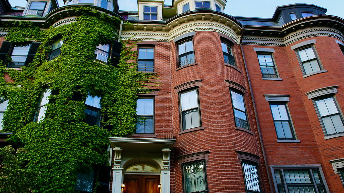 Beautiful Boston neighborhood turned into drug-fueled hellhole as front lawns turn into open-air narcotics market