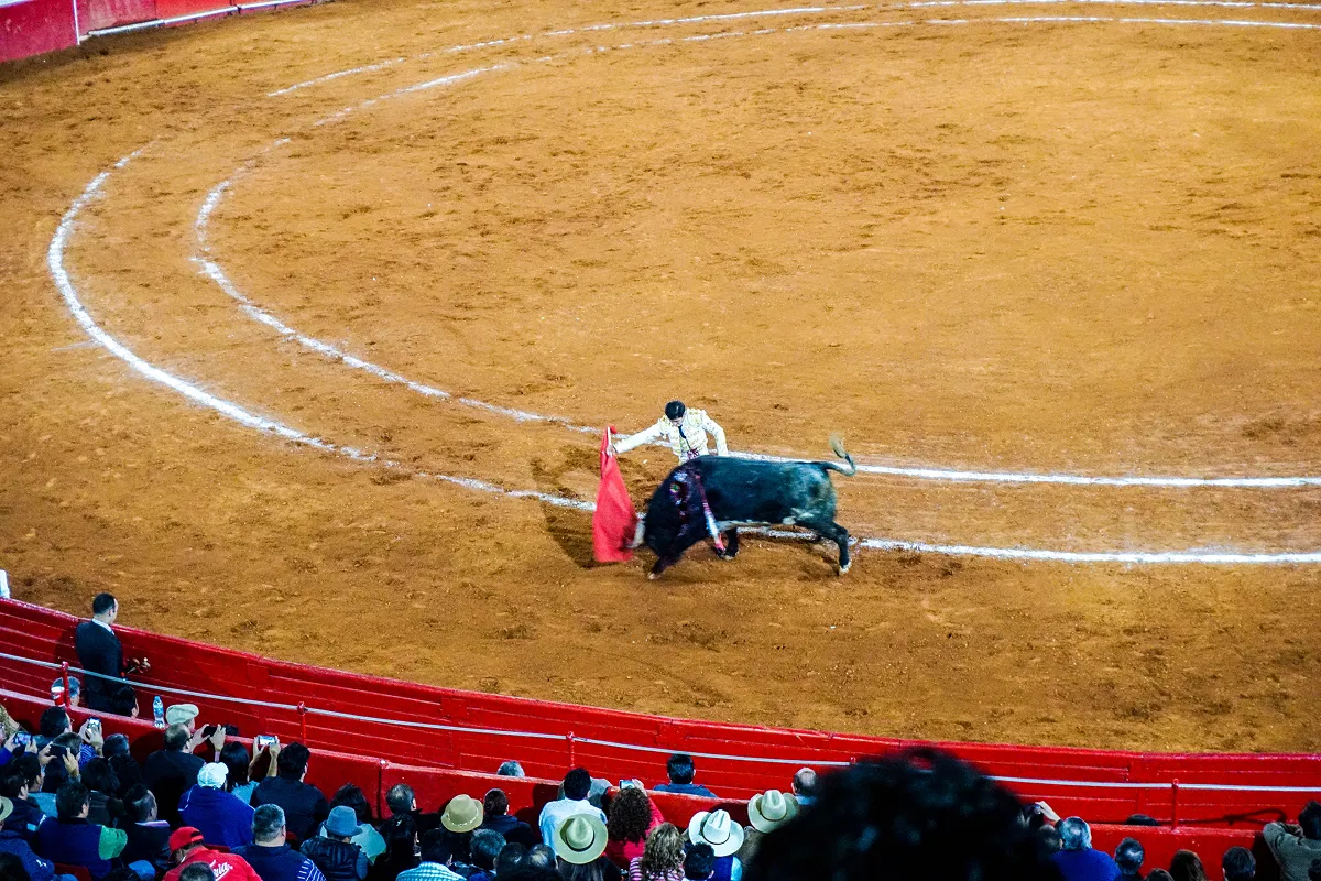 Columbia vs. Spain: bullfighting debate