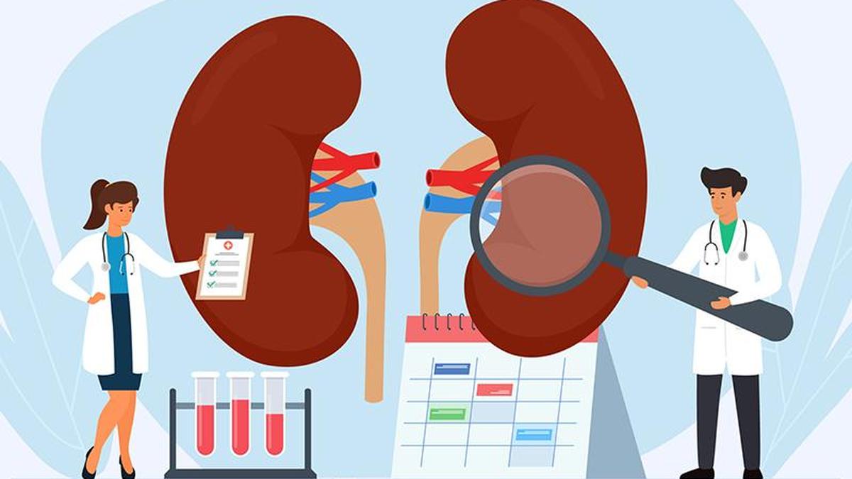 Unexplained kidney disease emerging as major health concern in Telangana, study finds