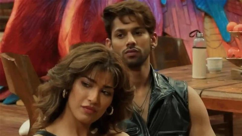 ‘Bigg Boss 19’: Nehal Chudasama and Baseer Ali EVICTED From Salman Khan’s Reality Show in Shocking Double Elimination? Here’s What We Know