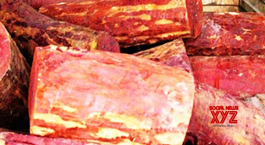 NBA releases Rs 55 lakh for 18 farmers of Red Sanders in Tamil Nadu
