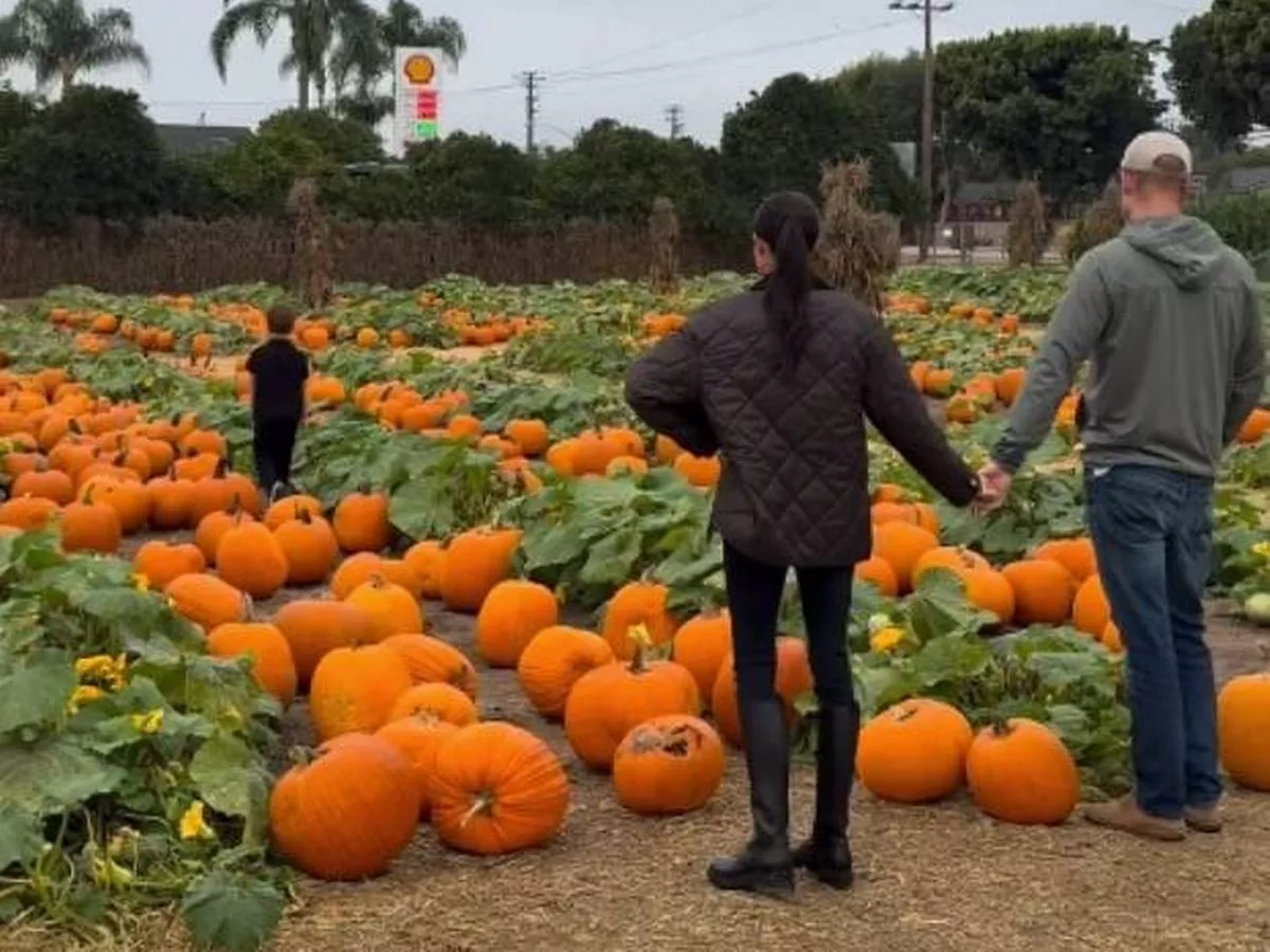 Meghan shares clearest glimpse of Archie and Lilibet in sweet video as Harry carves pumpkins