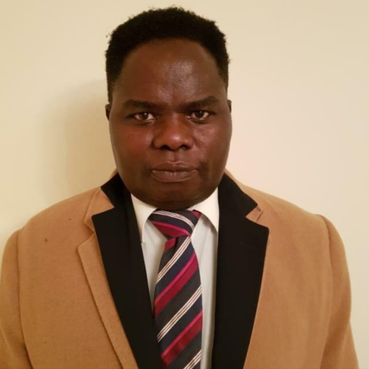 Economic analyst Ngoma offers to train financial experts on how to implement currency board administration