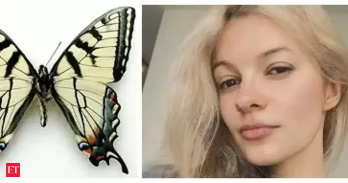 Celastrina iryna: New US butterfly species named after Ukrainian refugee Iryna Zarutska