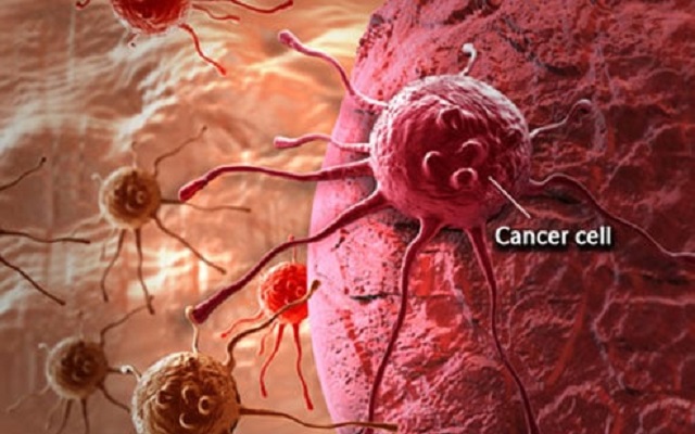 Researchers develop drug molecule to curb cancer growth
