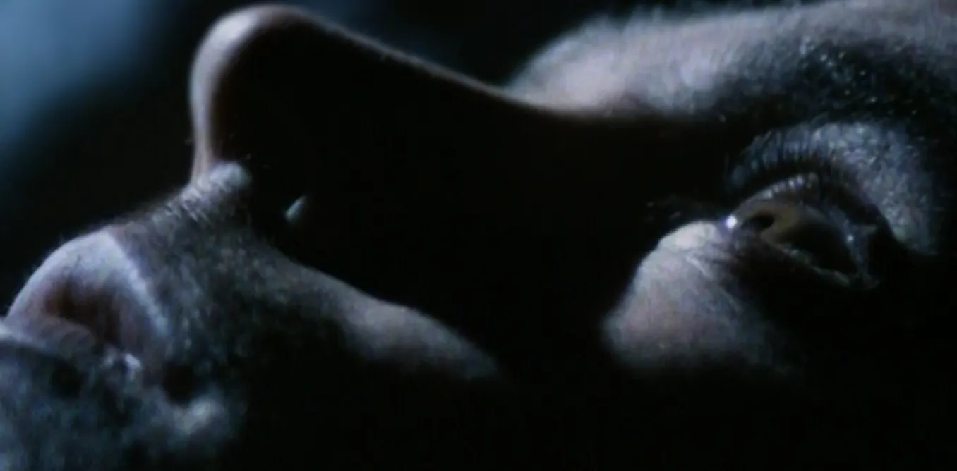 How this 1985 documentary ‘scared the pants’ off us – and sparked a paranormal TV craze