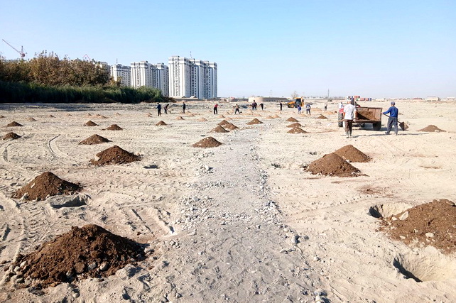 UNESCO Park Development Begins in Samarkand - UzDaily.uz