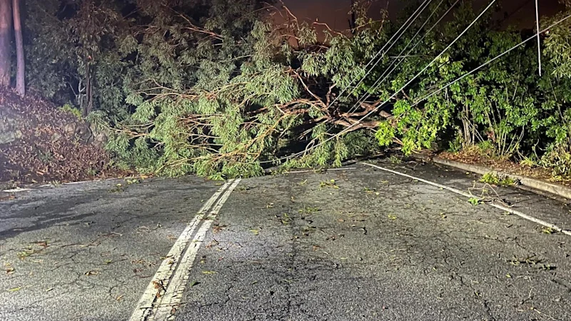 Brisbane news live: Schools across Brisbane remain shut; Crews continue storm clean-up, thousands still without power