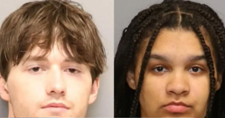 Man accused of killing Maryland garden shop owner found competent to stand trial