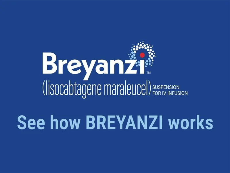 El Salvador's government bans the words feminism, diversity, and concepts like climate change