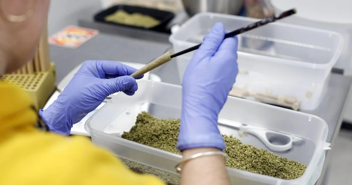 Why Massachusetts shouldn't push cannabis back underground