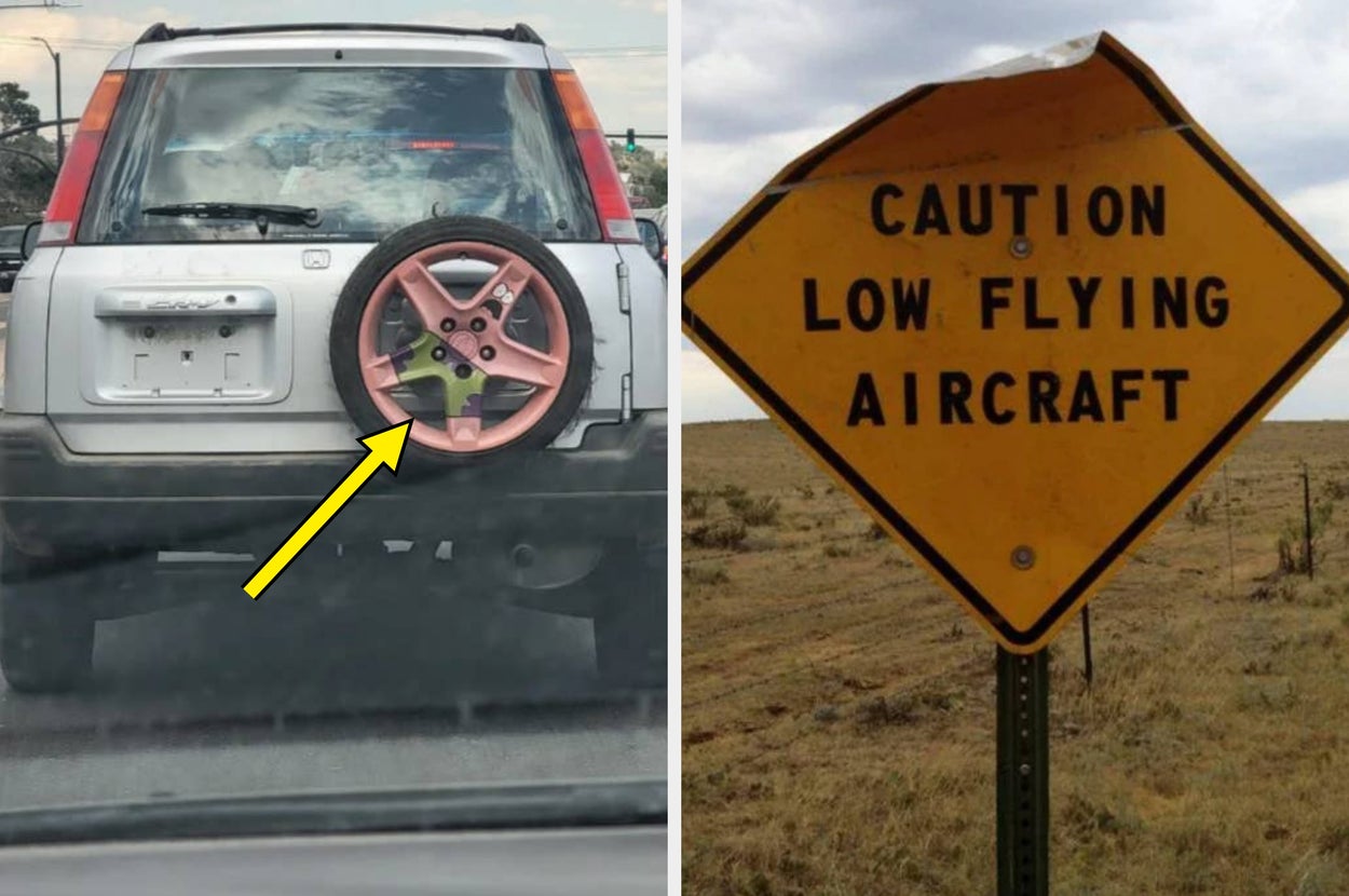 Literally Just 100 Funny Photos That Made Me Laugh Through The General Pain Of Existence