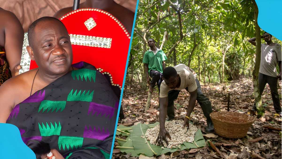 Sunyani chiefs impose total ban on farming and public activities every Friday