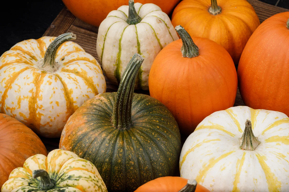 This Halloween vegetable is a ‘nutritional gold mine’ and packed with protein