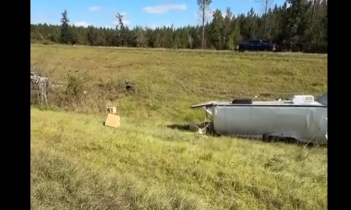 Six monkeys escape overturned truck in Mississippi