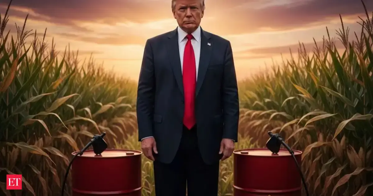 US corn in Indian cars, as Trump tariff bargain, won’t be an easy sell