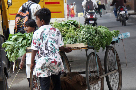 Rajasthan: Children below 14 banned from working in shops and commercial establishments