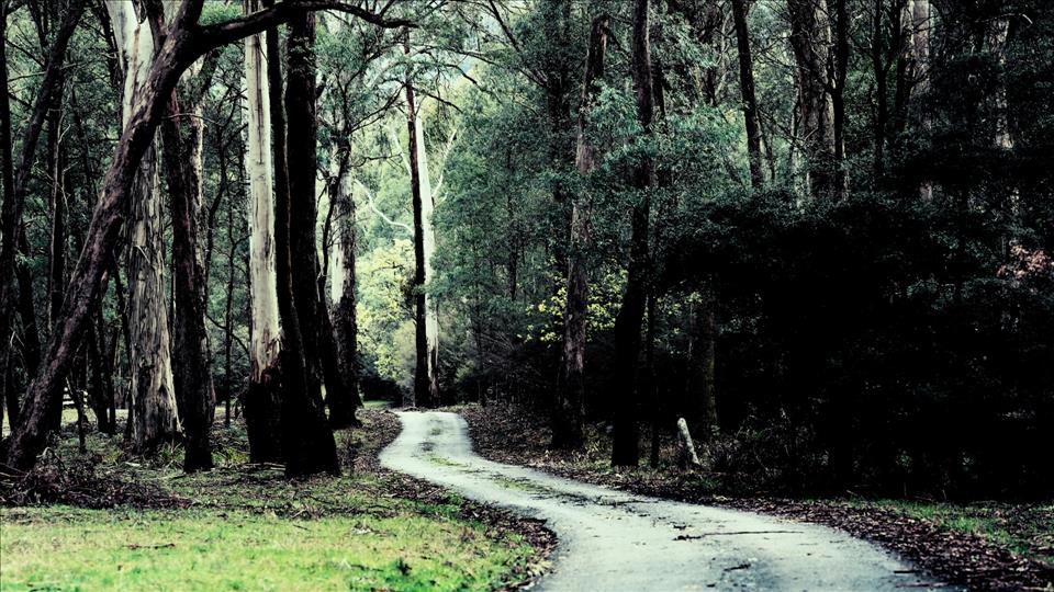 Far-Right Extremists Are Setting Up Rural Enclaves Around The World. We Need To Counter The Threat They Pose