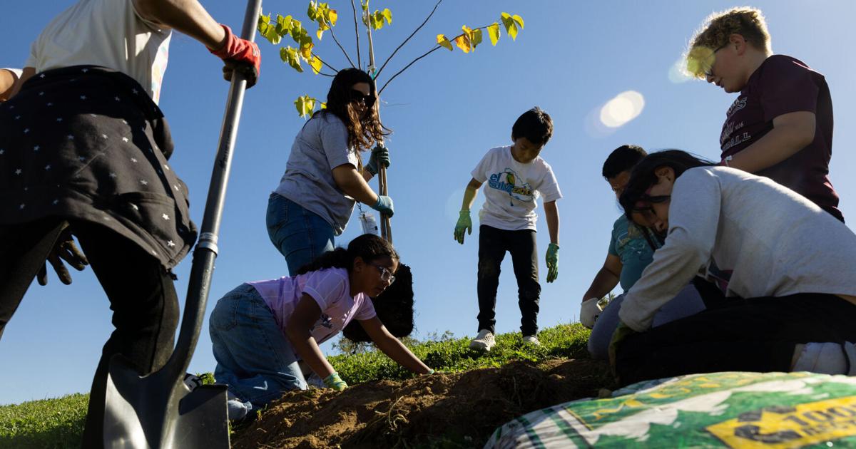 Ralston students plant trees as part of Keep Omaha Beautiful program