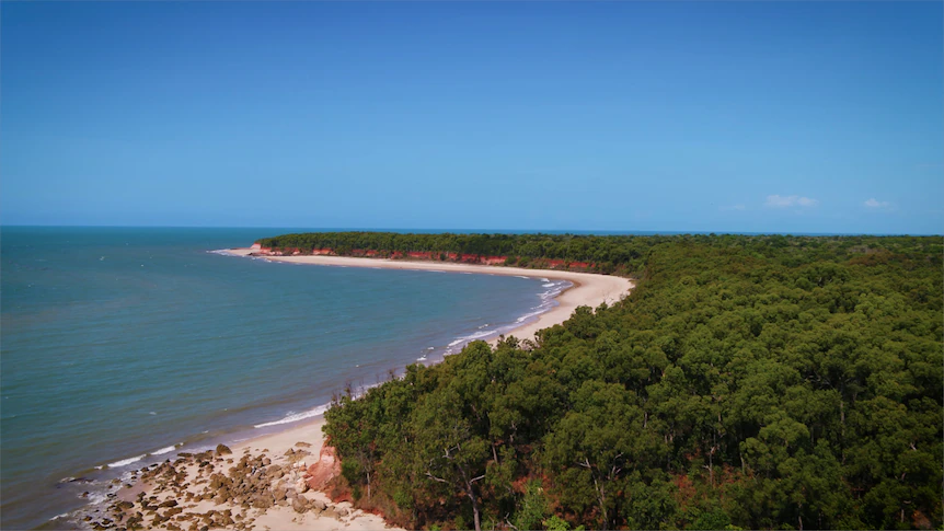 Land councils say federal government did not consult them on environment reform