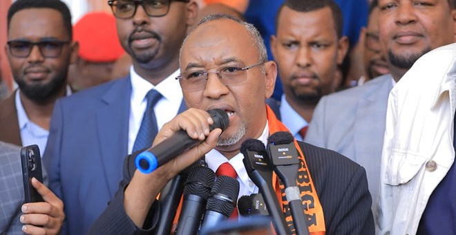 Somaliland’s Waddani party accuses Somalia of targeting its citizens through new e-visa policy