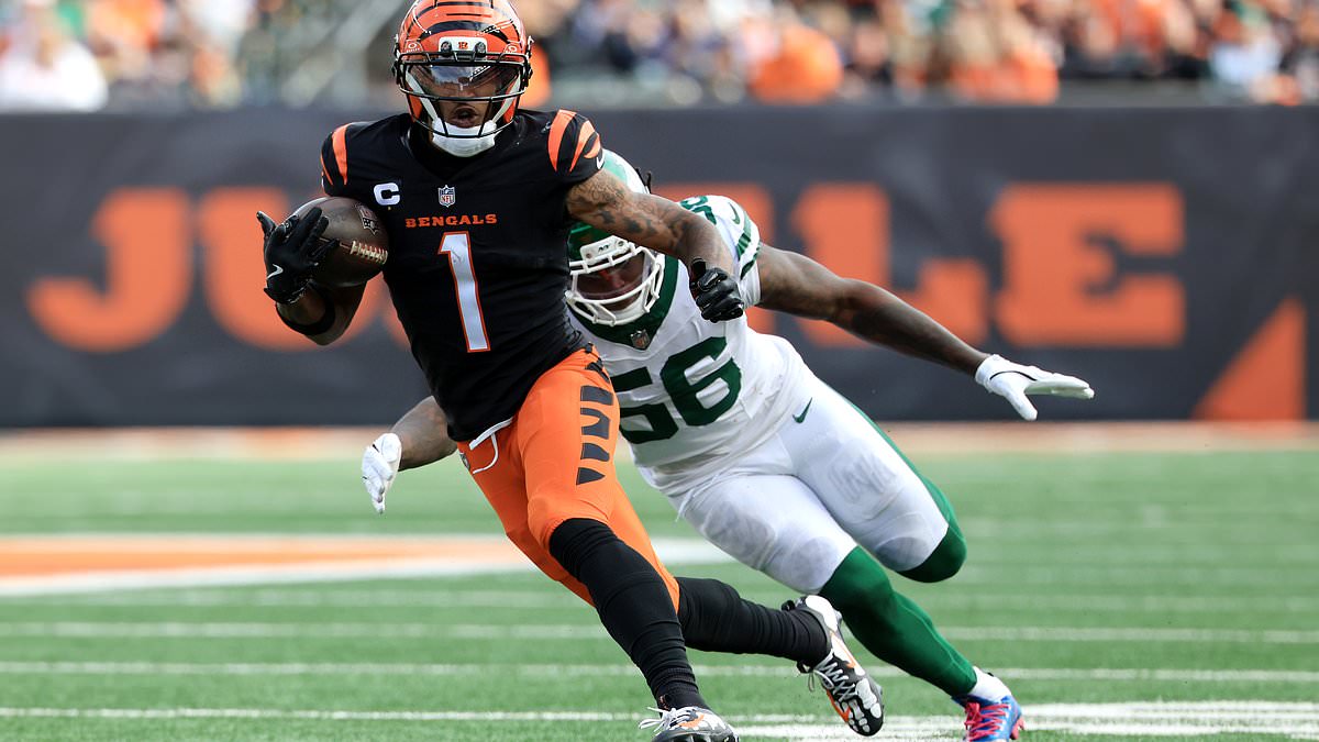 NFL fans spark backlash over 'insane' Cincinnati Bengals social media post about New York Jets: 'Poor taste'
