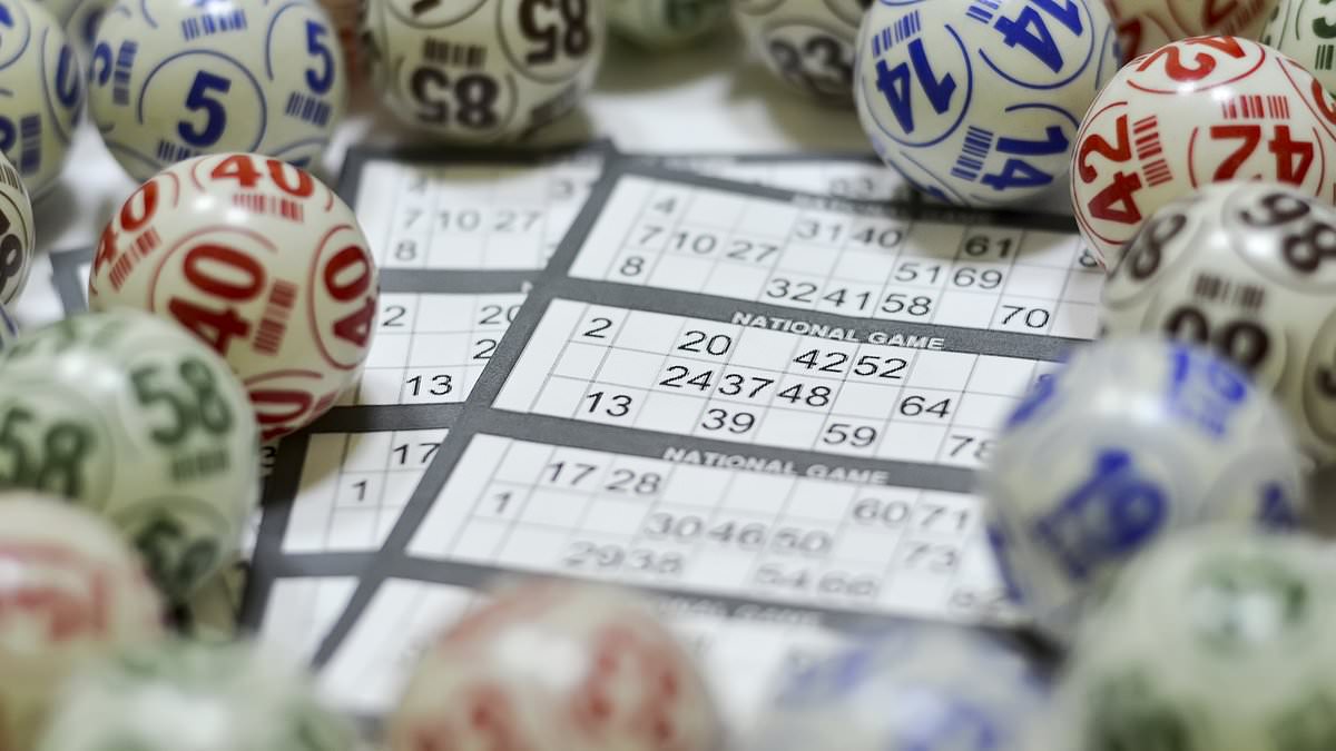 Gambling chief: Chancellor's taxes could shut bingo halls