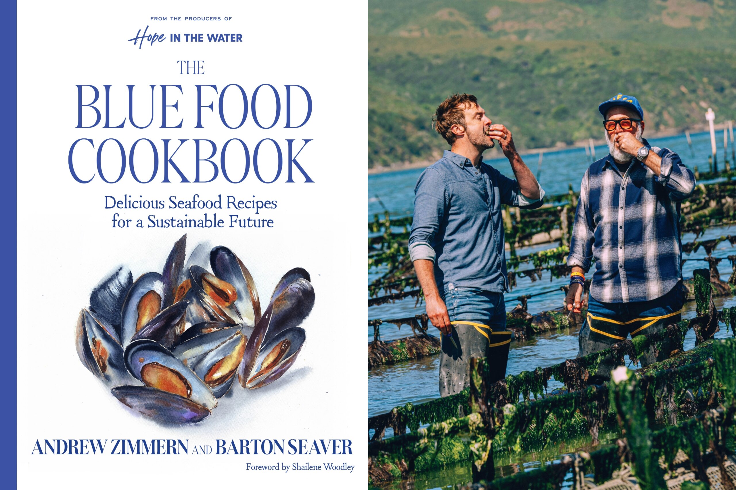 A new ‘Blue Food’ cookbook champions fish and other seafood for any meal