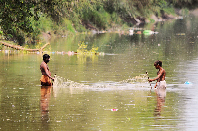 25 per cent fish farming damaged by floods in South Punjab
