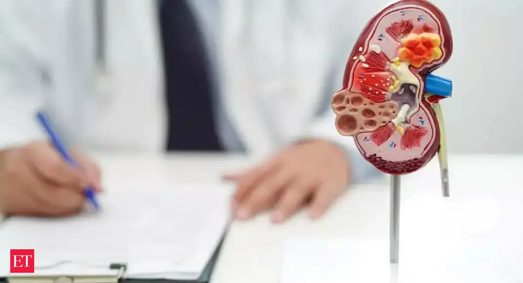 Kidney health: 9 most dangerous things for the kidneys to be aware of