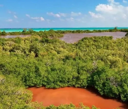 Comment on Ministry begins work on resilience scorecard for Cayman by Anonymous