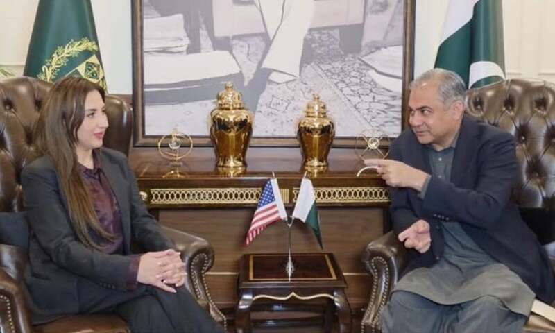 US envoy praises Pakistan’s efforts against terrorism: MoI