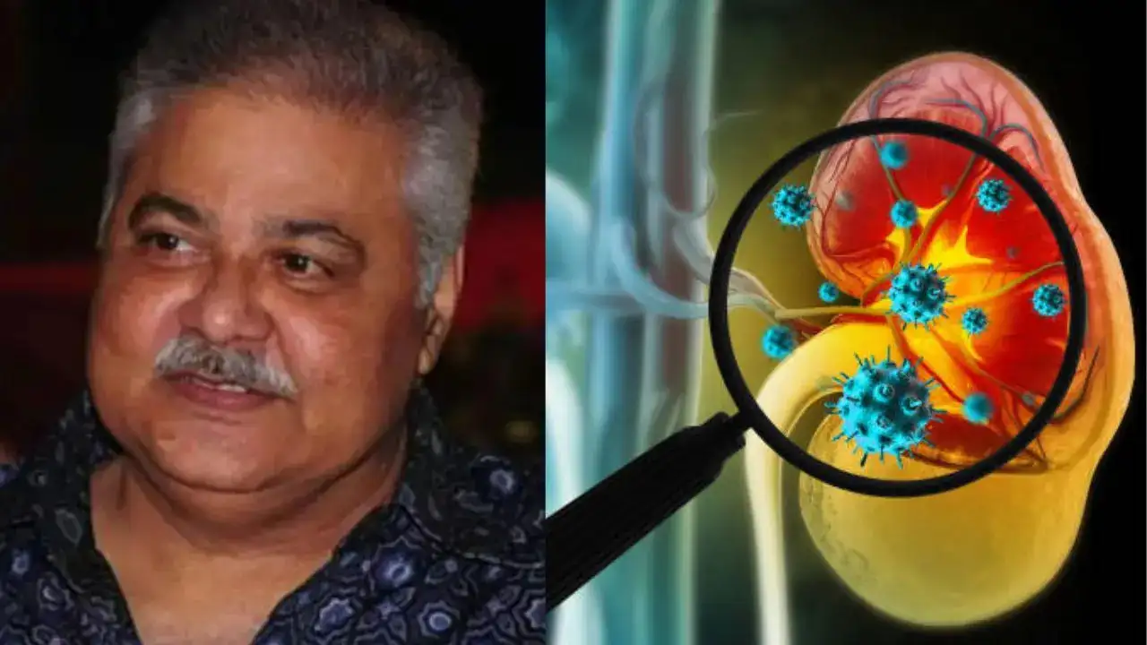 Satish Shah Dies of Kidney Failure: How Diabetes Affects Vital Organs