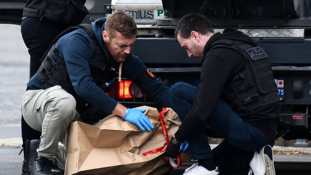 The Louvre thieves made a grave mistake... it will lead investigators straight to the jewels, says FBI agent who's recovered $100M in stolen art