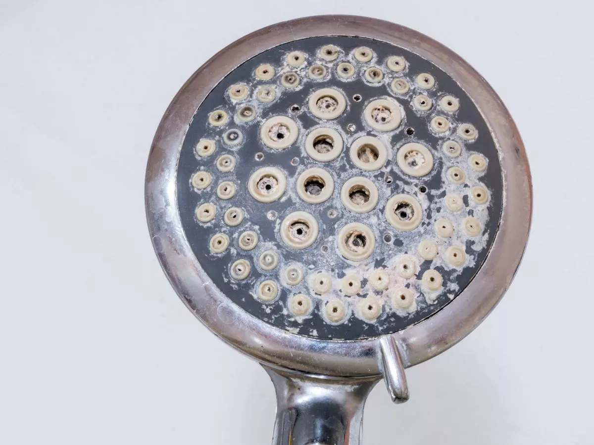 'I crushed my mould and limescale problem with £3 Sainsbury's item'