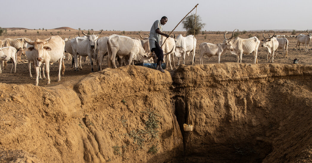 Money to Help Nations Cope With Climate Disasters Is Declining, U.N. Says