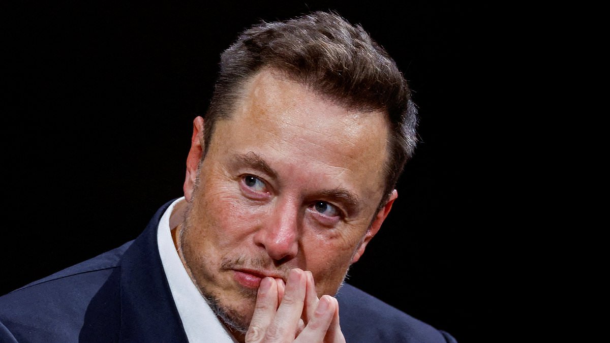 Elon Musk wades into political row over fatal stabbing of dog walker 'by Afghan who was granted asylum'