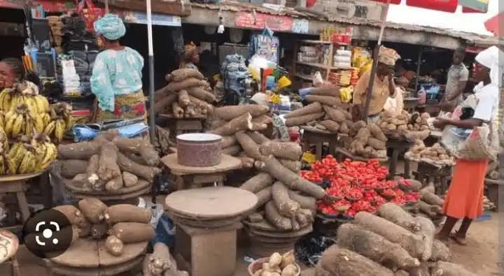 Nasarawa, Niger, Kogi Farmers Lament Price Crash Despite Bumper Harvests