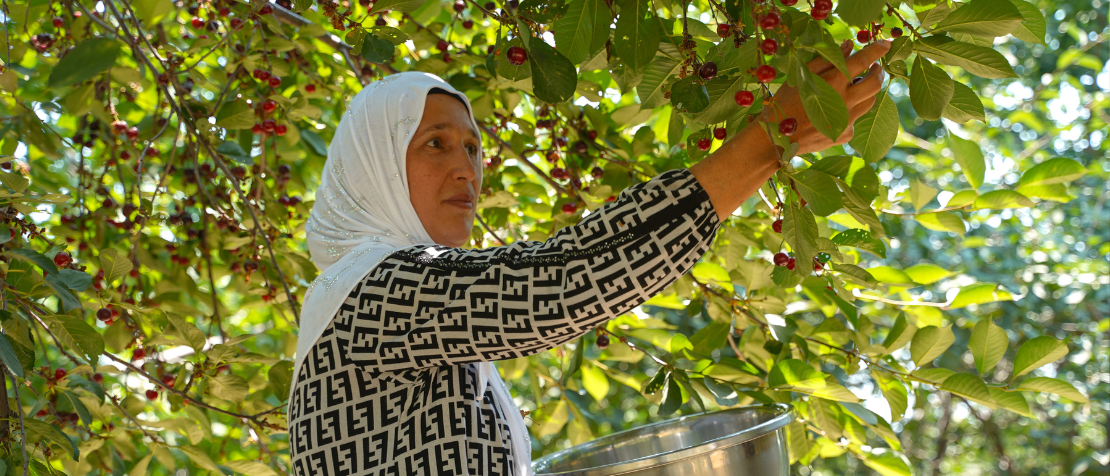 New FAO gender profile highlights challenges and opportunities for rural women in Tajikistan - Food and Agriculture Organization
