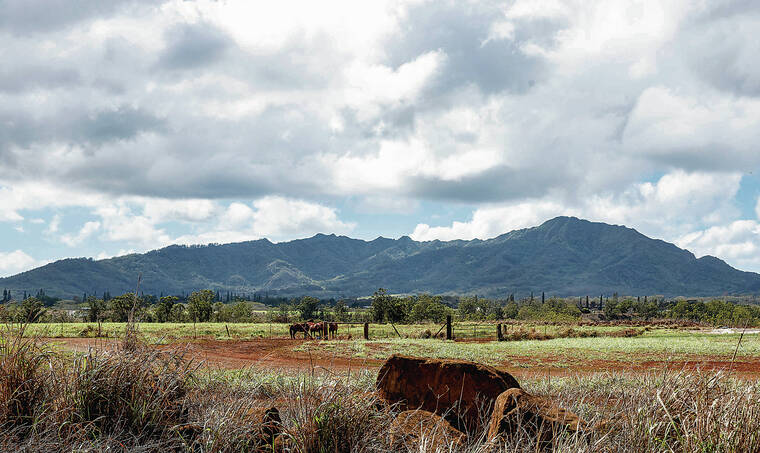 North Shore community pushes back on expansive gondola plan