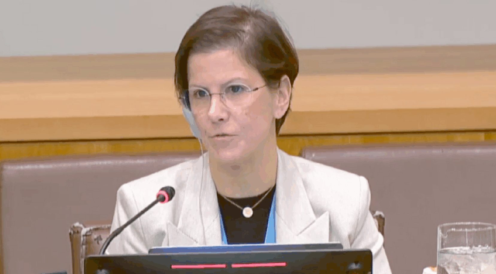 Official United Nations rapporteur and human rights expert wants to see an end to surrogacy