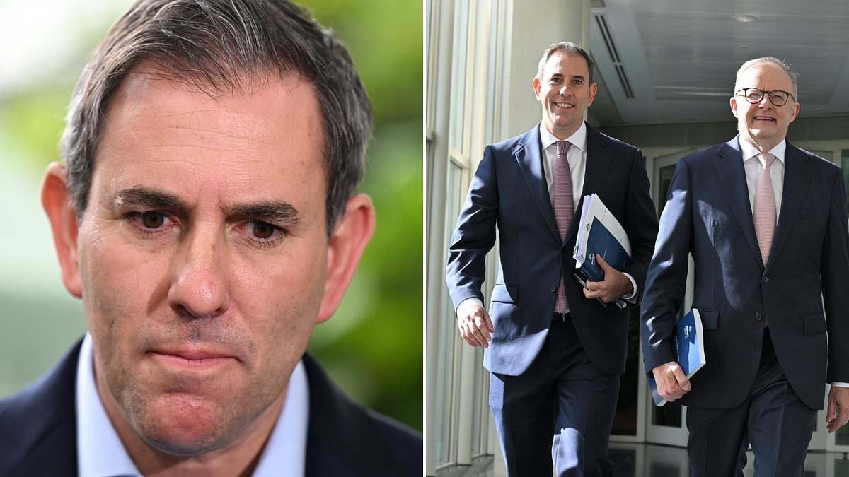Australia is now paying the price for Jim Chalmers' big mistake: The double disaster that could cause a recession