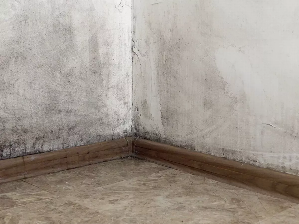 Warning for UK households drying clothes indoors during November