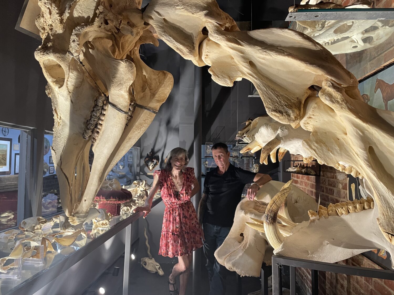 The Museum Of Death Holds A Mirror Up To Society