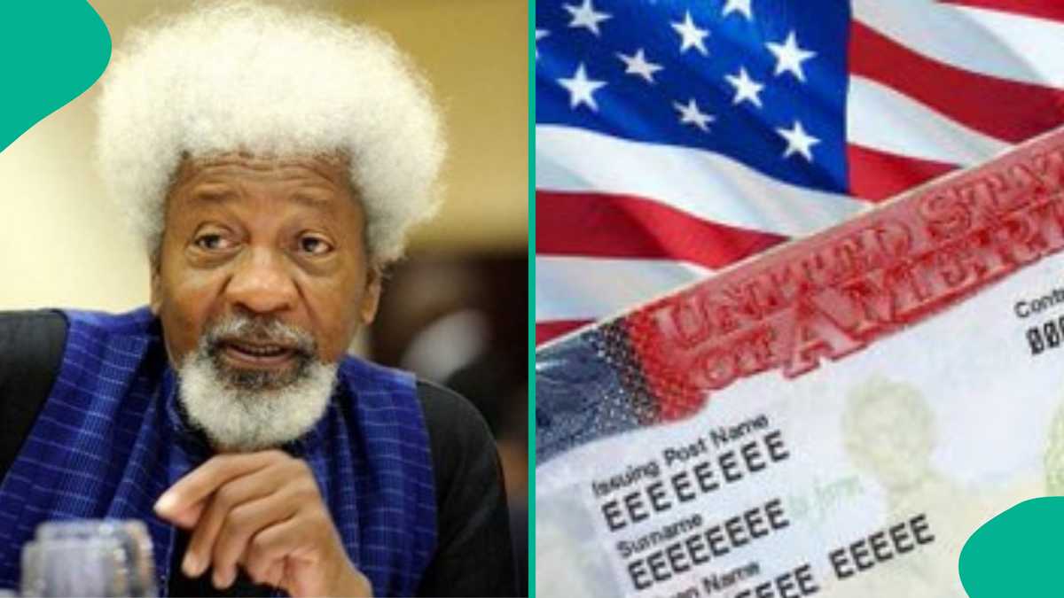 Wole Soyinka’s US visa revoked: Nobel Laureate expresses confusion over ban