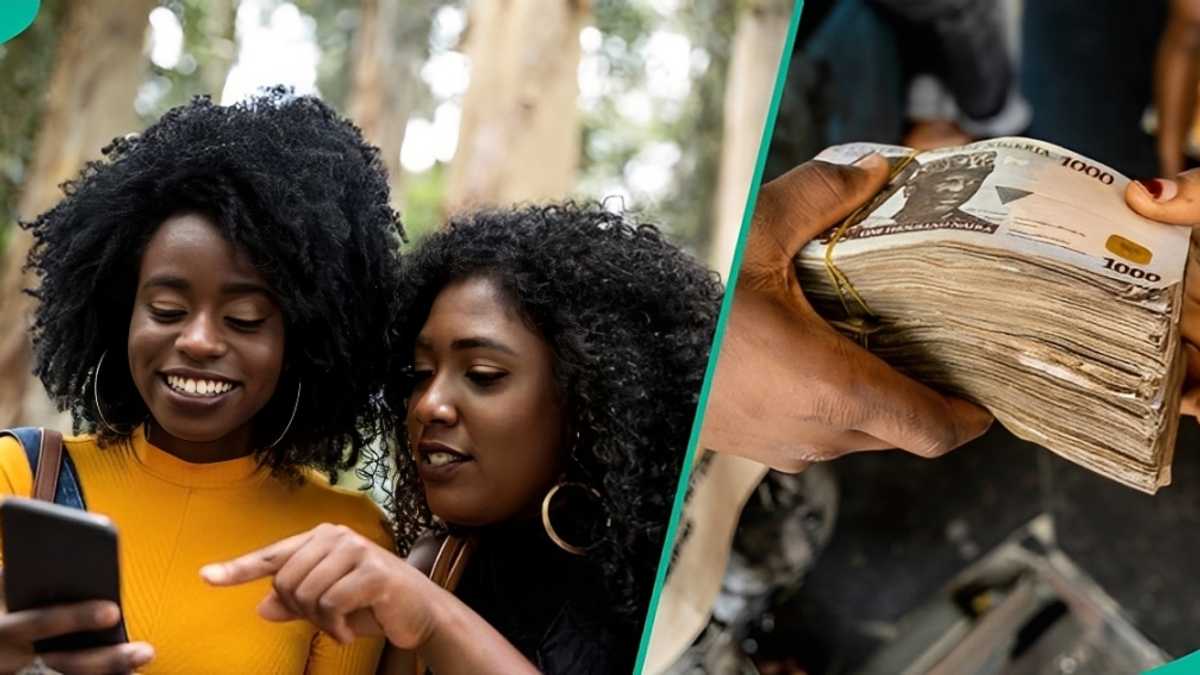 Find out how to apply as YEIDEP reopens batch B application for N500,000 grant