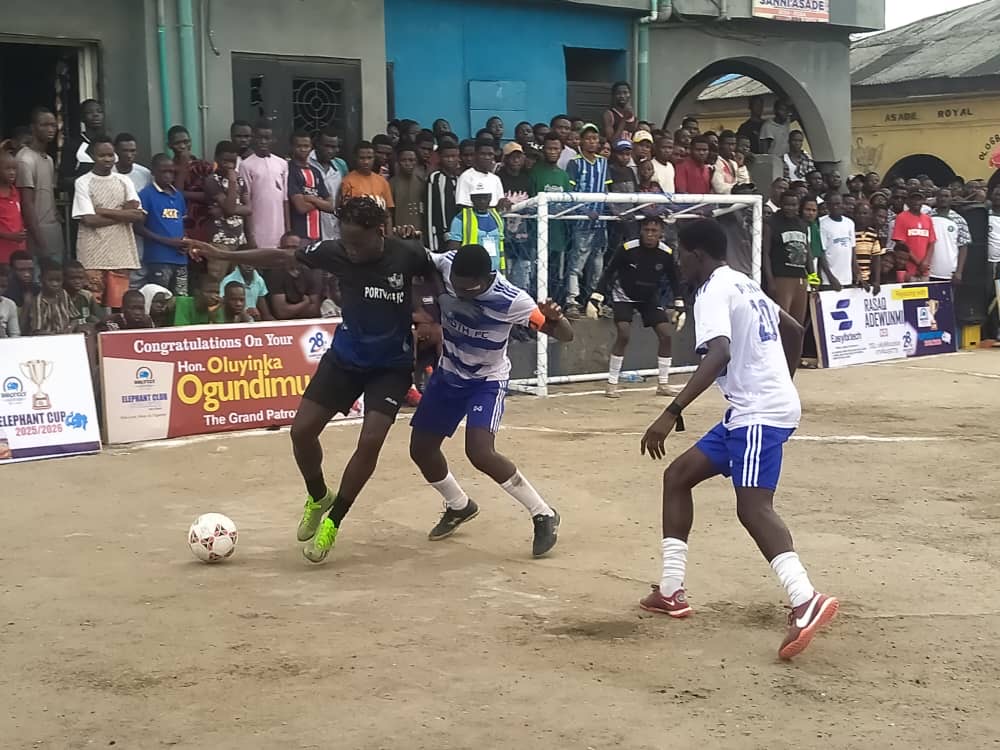 Royal father, Small Doctor hail 28-year-old Elephant Cup grassroots football league in Lagos