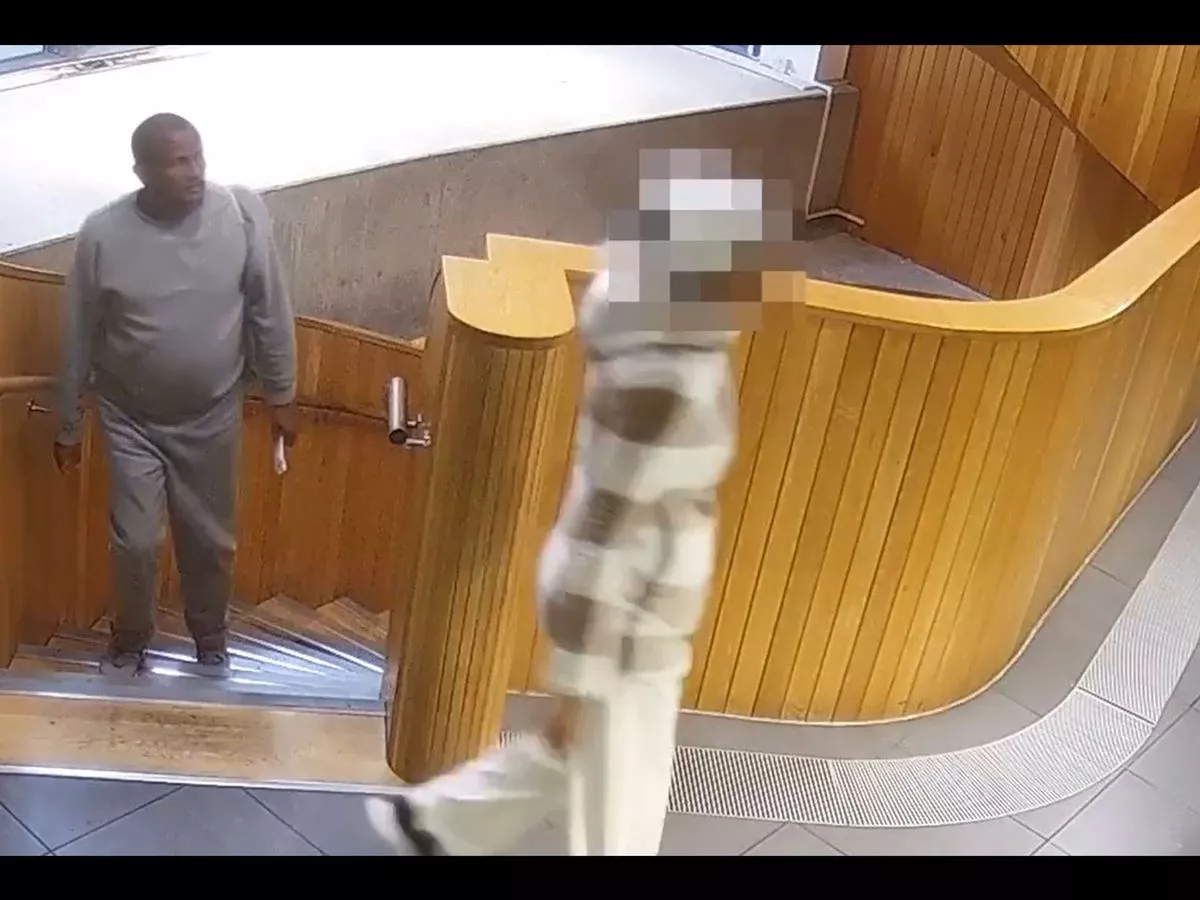 Prison officer suspended after sex offender asylum seeker mistakenly released