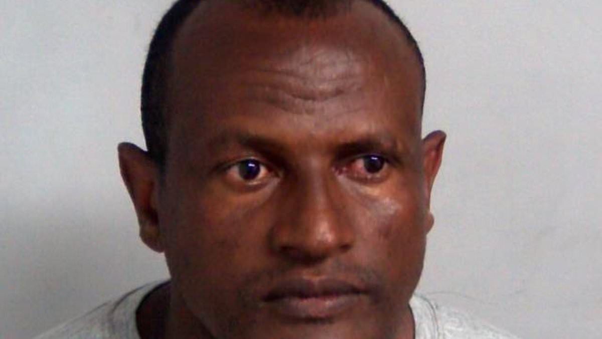 Wrongly-freed Epping sex offender migrant changed his appearance on the run before being caught by police, as humiliated Keir Starmer vows 'this must never happen again'